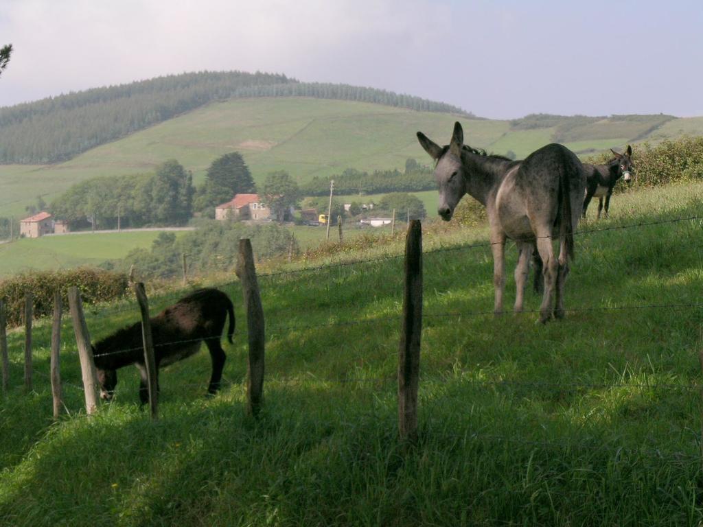 Agroturismo Kasa Barri Bermeo Eksteriør bilde